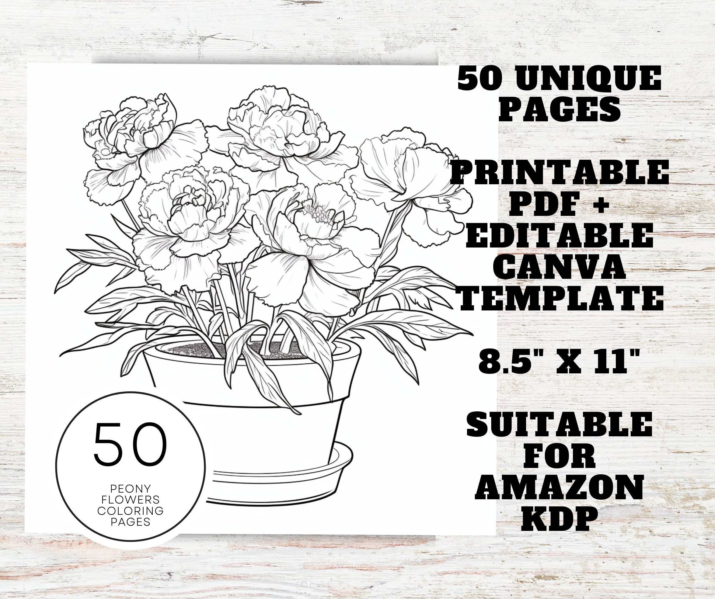 KDP Interior 50 Peony Flower Coloring Pages for Adults | 8.5" X 11 ...