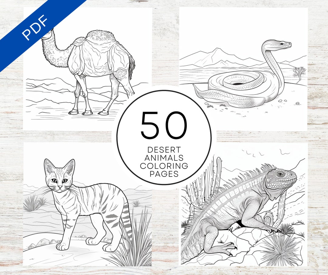 10 Desert Animal Coloring Pages to Unleash Your Inner Artist