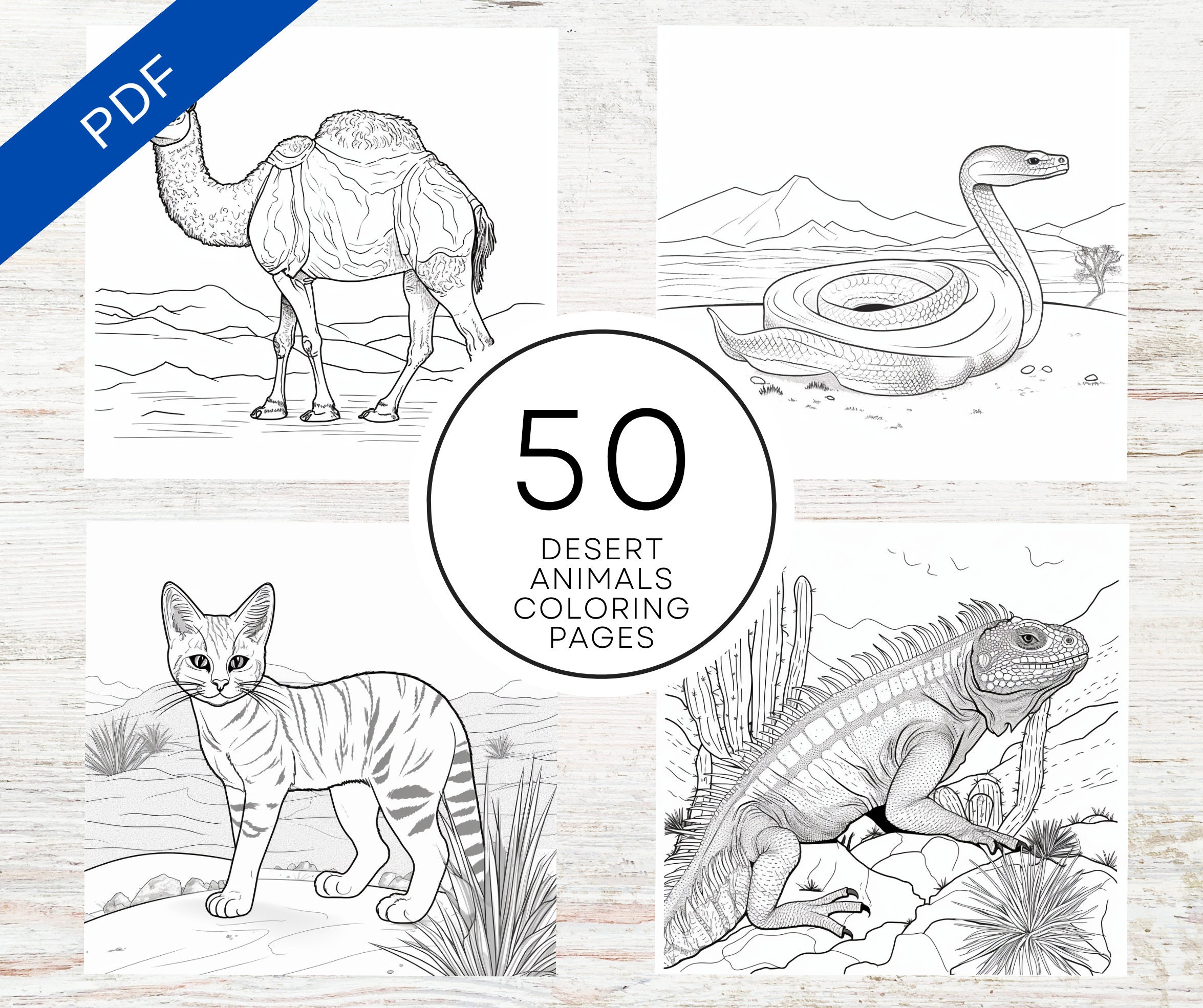 KDP Interior Desert Animals Coloring Pages 8.5" X 11" Printable PDF