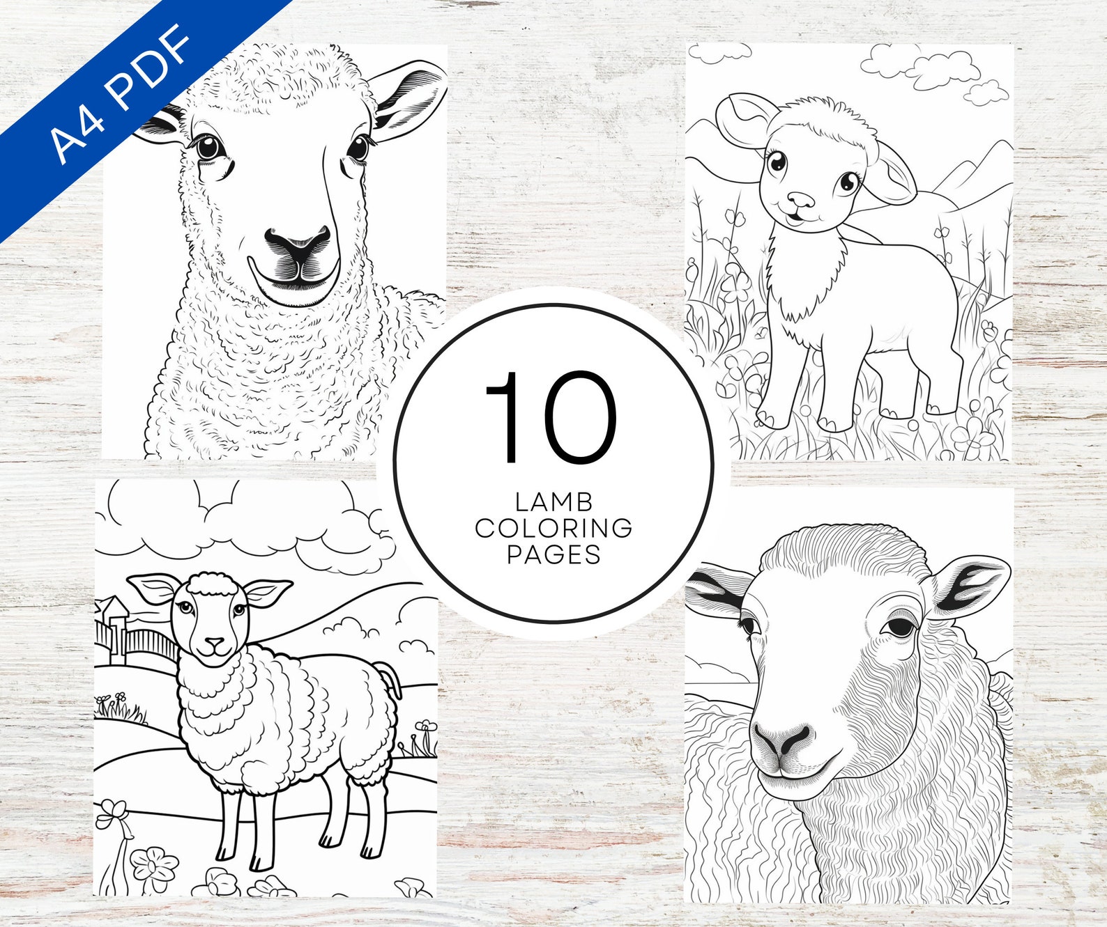 10 Lamb Coloring Pages | Printable PDF A4 | Farm Animal Coloring Sheets ...