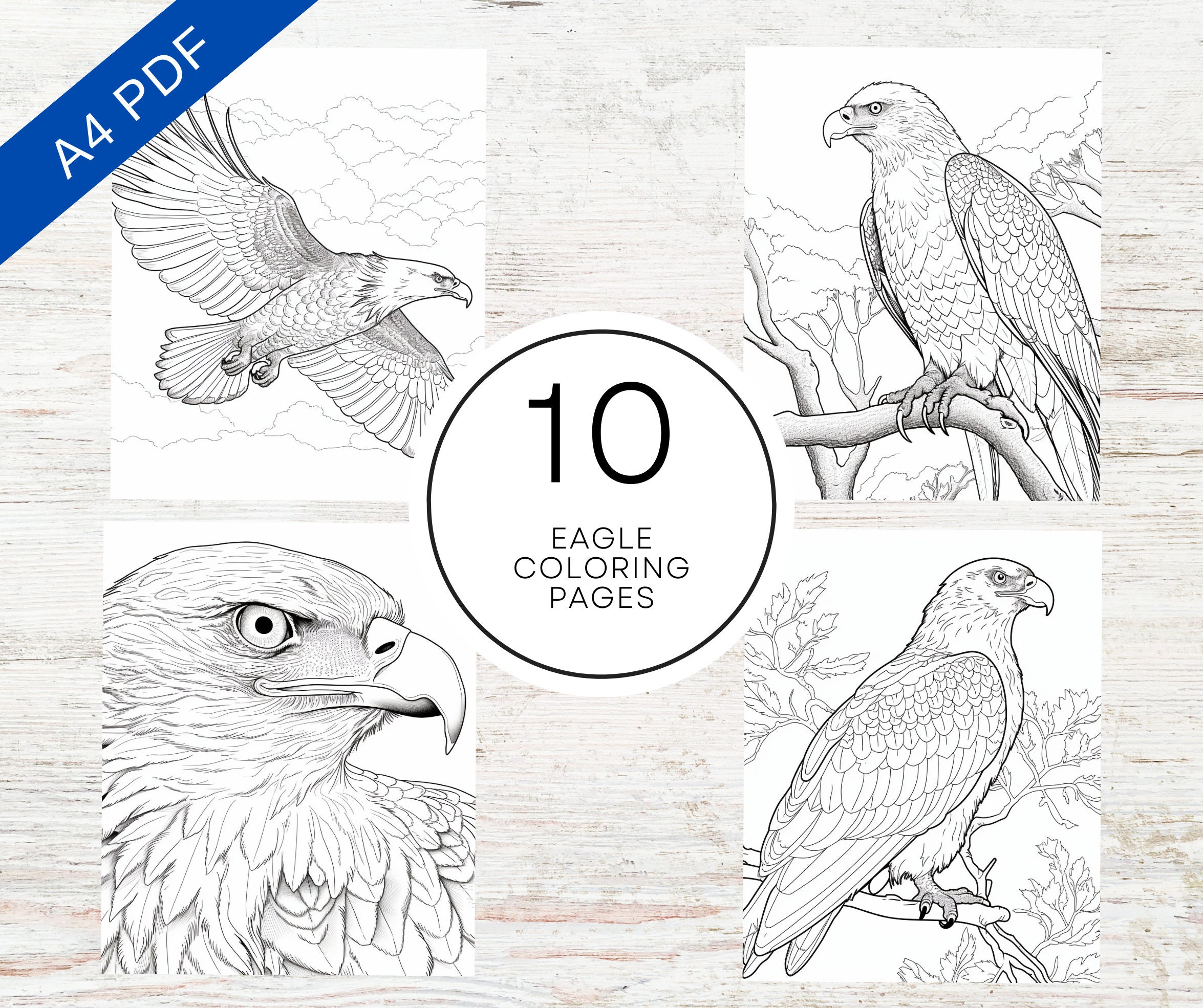 10 Eagle Coloring Pages | A4 Printable PDF | Bird Coloring Sheets for ...