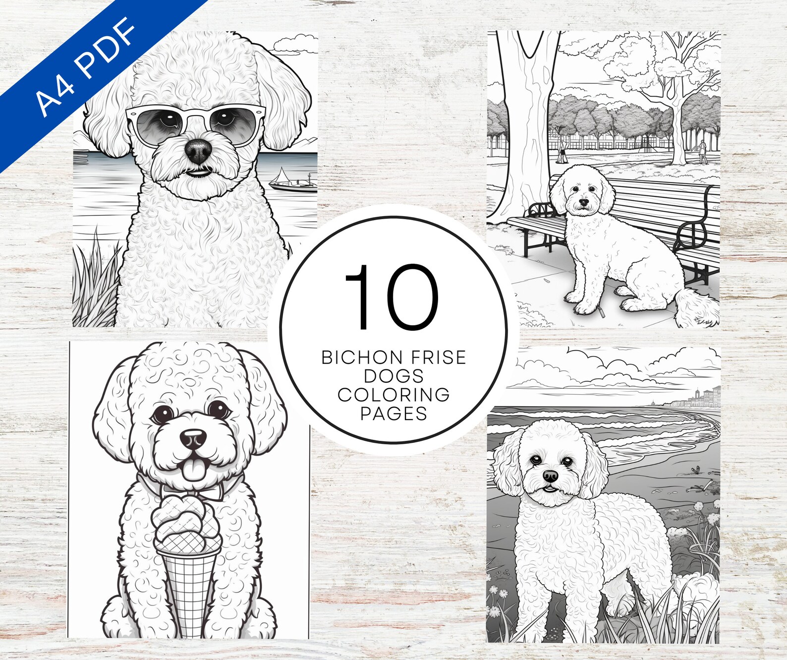 10 Bichon Frise Dogs Coloring Pages A4 Printable PDF Cute Dog Coloring