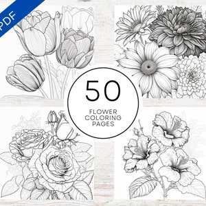 May include: A set of 50 printable flower coloring pages. The pages feature detailed line drawings of various flowers, including tulips, roses, daisies, and hibiscus.
