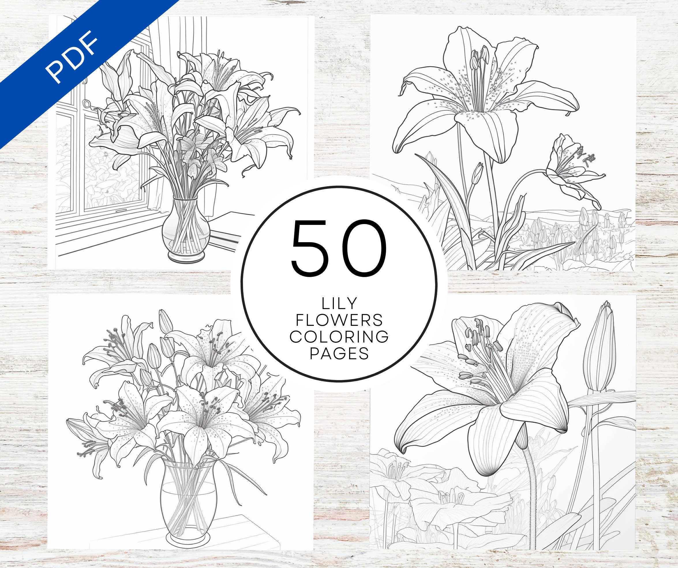 KDP Interior 50 Lily Flower Coloring Pages for Adults | 8.5" X 11" Pdf ...