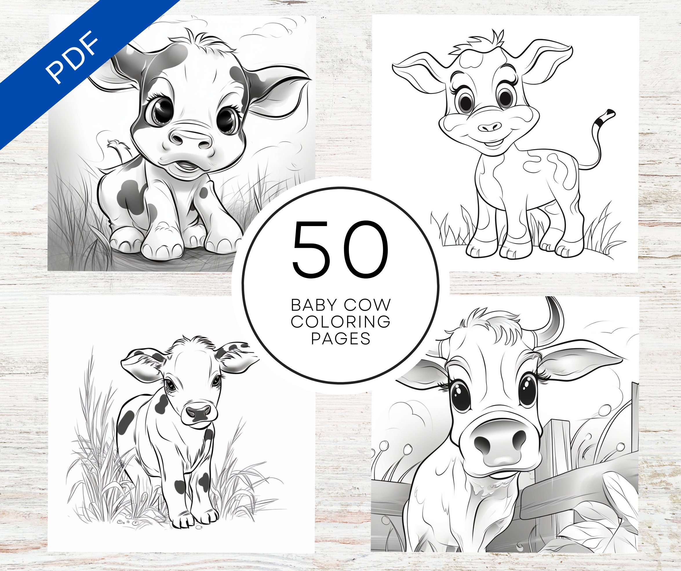 KDP Interior 50 Baby Cow Coloring Pages 8.5 X 11 Printable PDF Canva