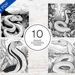 10 Snake Coloring Pages For Kids | A4 Printable PDF | Reptile Coloring Book For Children