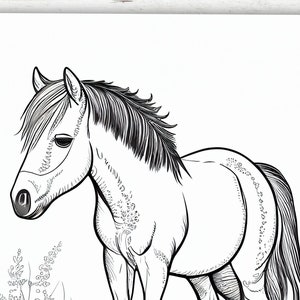 May include: Black and white line drawing of a horse with a long mane and tail. The horse is standing in a field of grass.