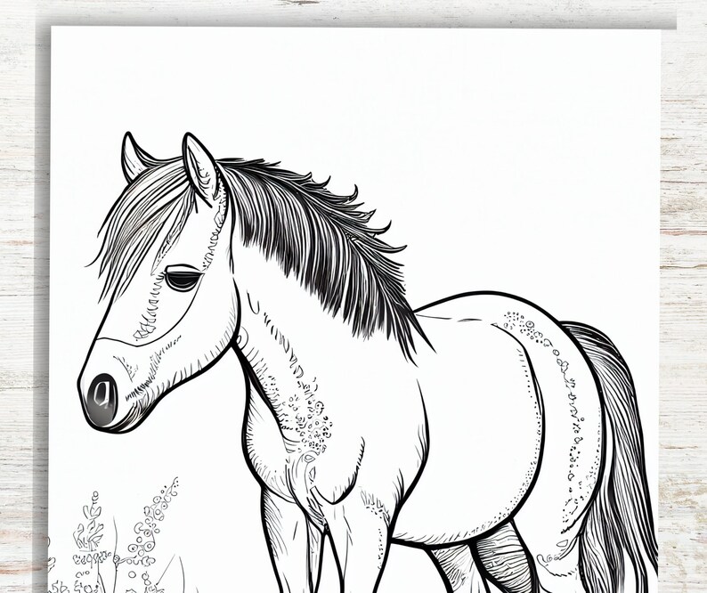 May include: Black and white line drawing of a horse with a long mane and tail. The horse is standing in a field of grass.