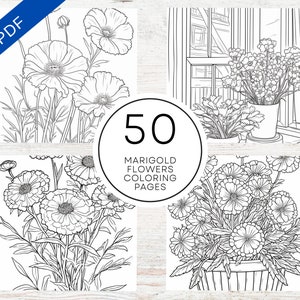 May include: A set of 50 printable coloring pages featuring marigold flowers in various arrangements. The pages are black and white line drawings, ready to be colored.
