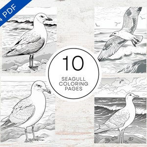 10 Seagull Bird Coloring Pages | Printable PDF A4 | Sea Birds Coloring Sheets For Kids, Teens & Adults