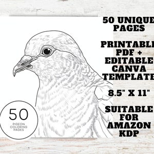 KDP Interior 50 Malvorlagen 85 x 11 druckbare - Etsy.de