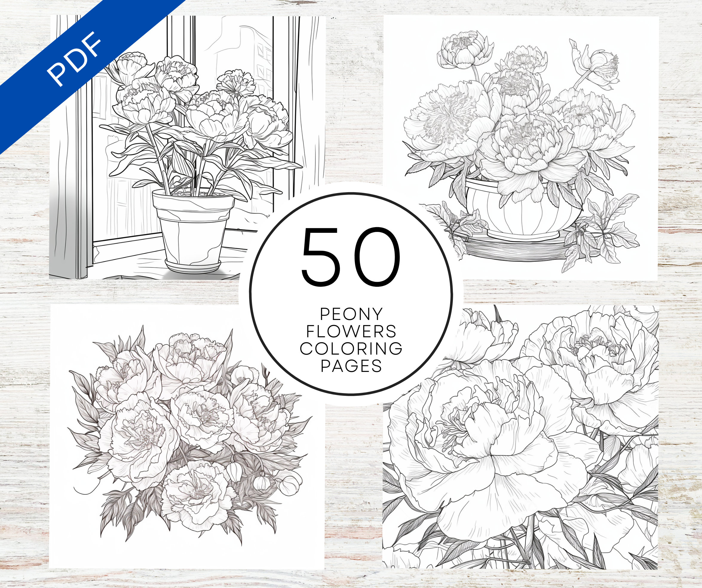 KDP Interior 50 Peony Flower Coloring Pages for Adults | 8.5" X 11 ...