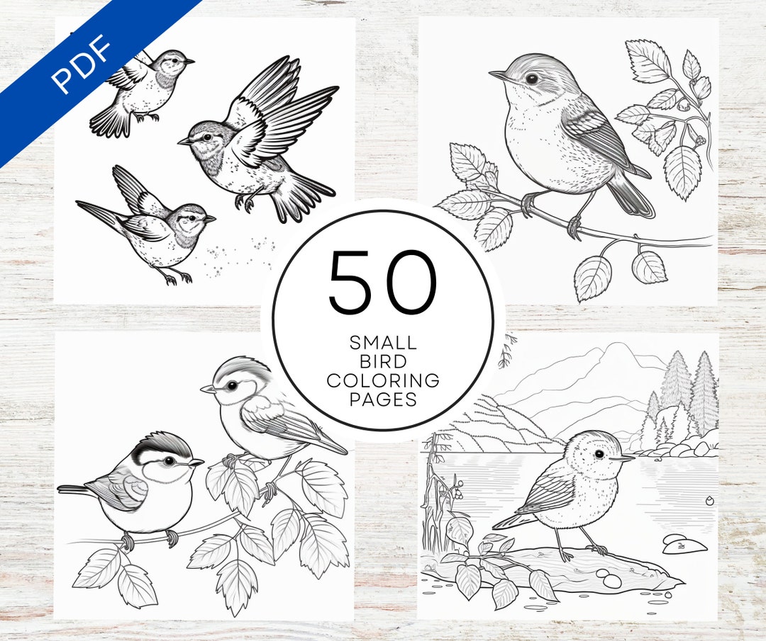 KDP Interior 50 Bird Coloring Pages  8.5 X 11