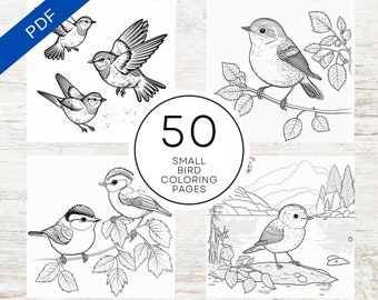 KDP Interior 50 Bird Coloring Pages | 8.5&quot; x 11&quot; Printable PDF | Kids Coloring Book | Commercial Use Activity Book