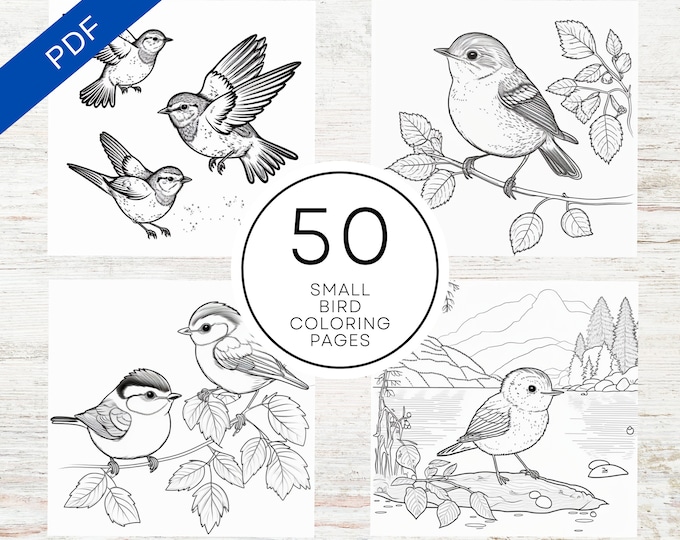 Small Garden Birds UK Colouring Page digital Download, Print at Home - Etsy