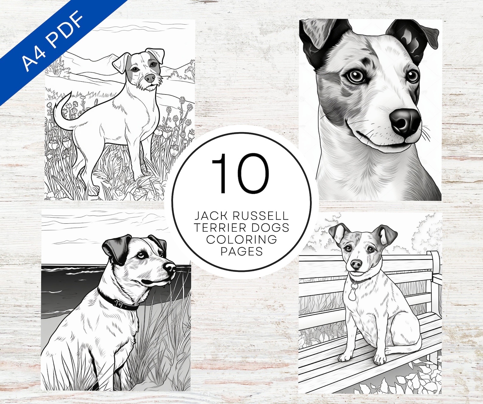 10 Jack Russell Terrier Dogs Coloring Pages | Printable Dog Coloring ...