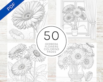 KDP Interior 50 Gerbera Flower Coloring Pages For Adults | 8.5" x 11" PDF | Adult Coloring Book | Floral & Botanical Colouring