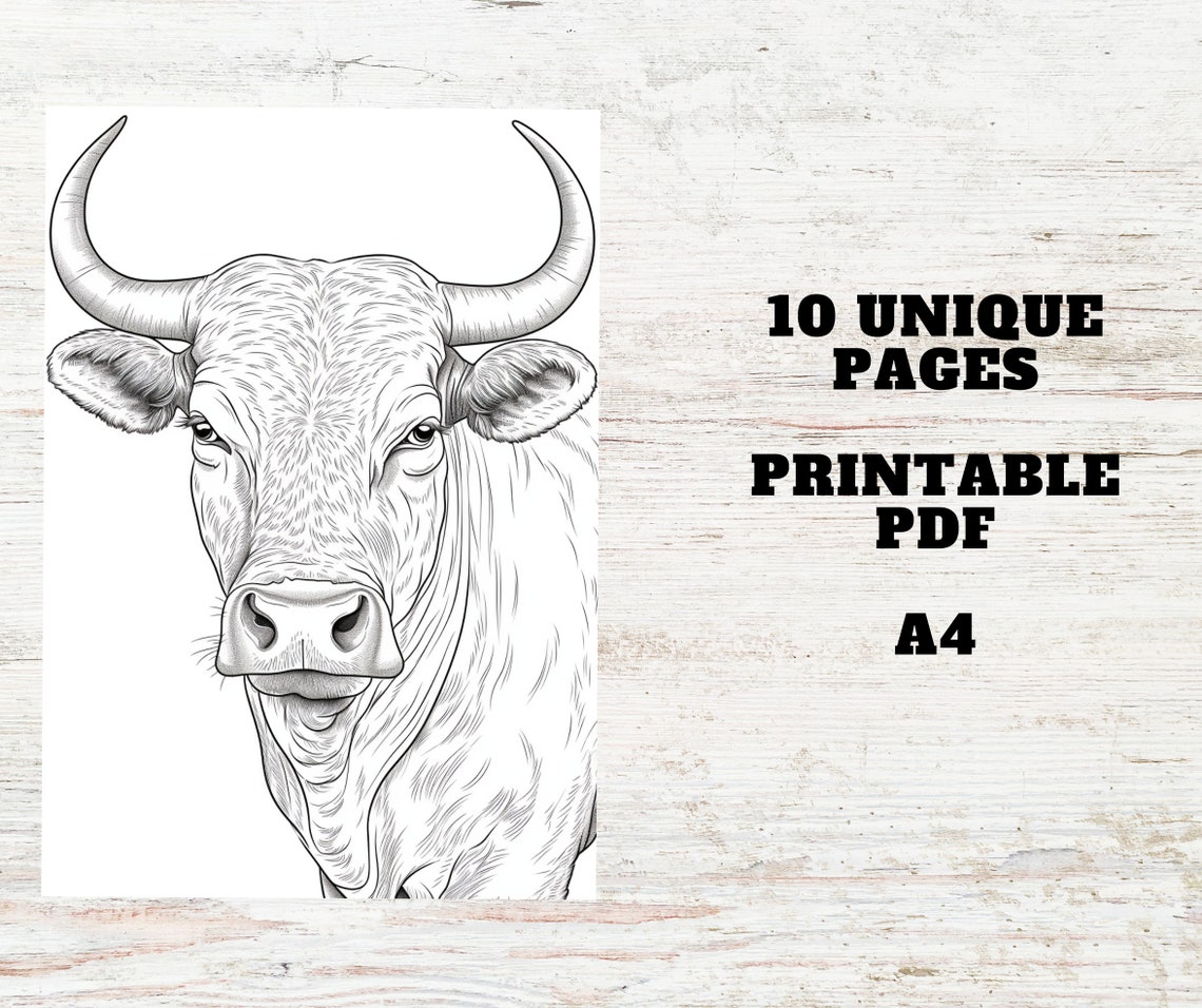 10 Bull Coloring Pages for Teens & Adults A4 Printable Animal Coloring