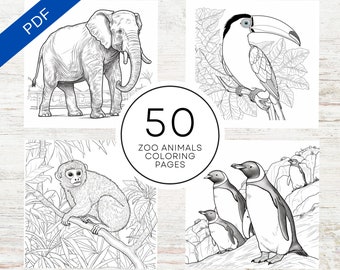 May include: A set of 50 black and white coloring pages featuring zoo animals. The pages include an elephant, toucan, monkey, and penguins.