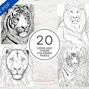 20 Lions And Tigers Coloring Pages | Printable PDF A4 | Wild Animals Coloring Sheets For Kids And Adults