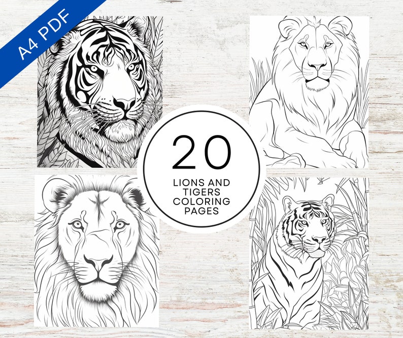 20 Lions and Tigers Coloring Pages | Printable PDF A4 | Wild Animals ...