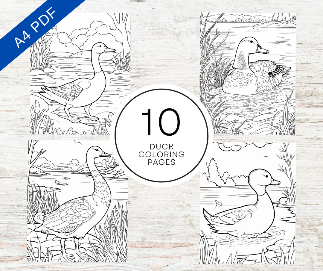 10 Duck Coloring Pages | Printable PDF A4 | Animal Coloring Sheets for ...