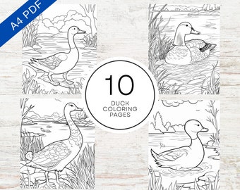 10 Duck Coloring Pages | Printable PDF A4 | Animal Coloring Sheets For Kids & Adults | Stress Relief And Relaxation