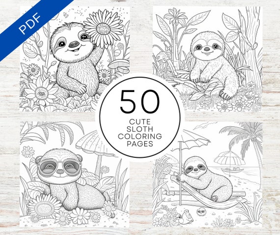 TARGET Color & Frame - Sloth (Adult Coloring Book) - by New