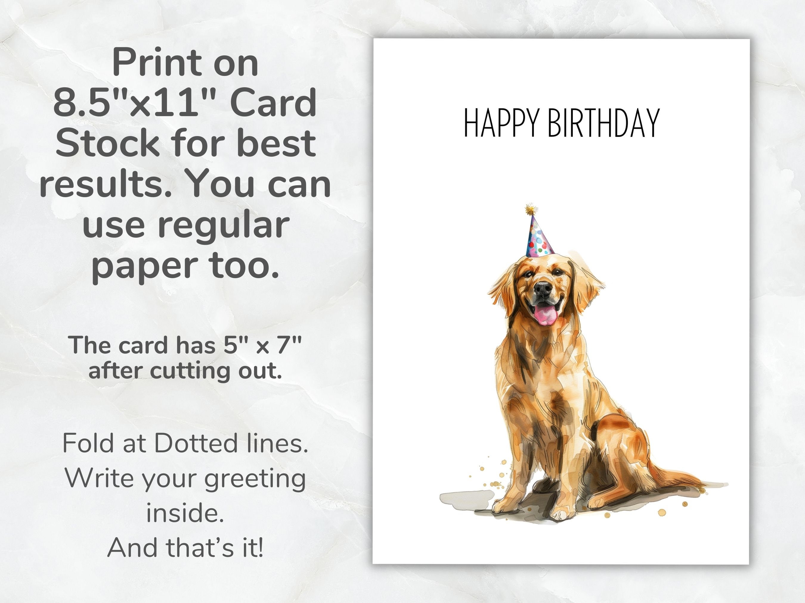 Biglietto D'auguri Con Cane Golden Retriever