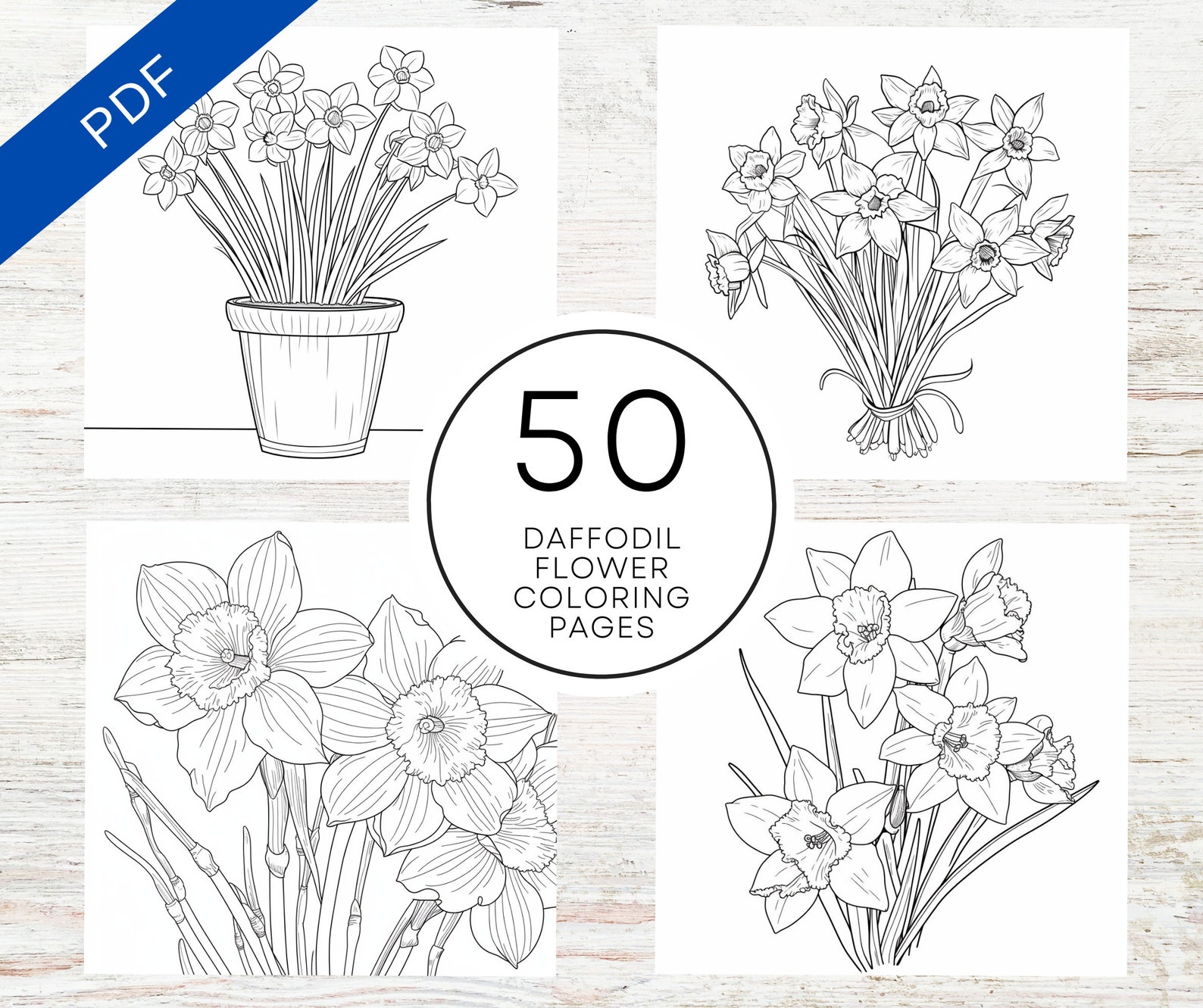 KDP Interior 50 Daffodil Flower Coloring Pages for Adults | 8.5" X 11 ...