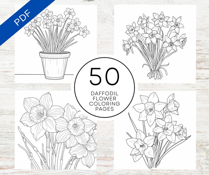 KDP Interior 50 Daffodil Flower Coloring Pages for Adults | 8.5" X 11 ...