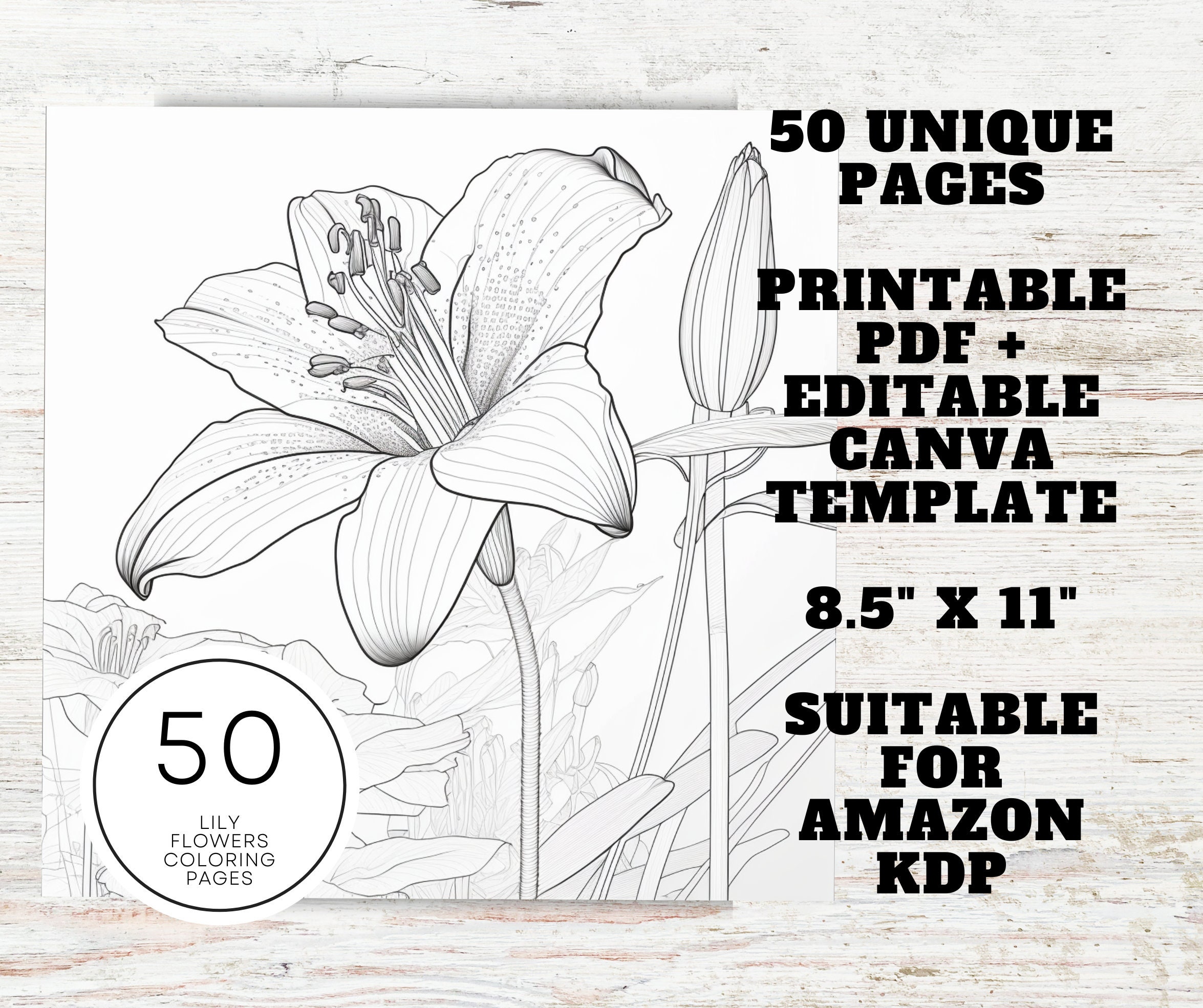 KDP Interior 50 Lily Flower Coloring Pages for Adults | 8.5" X 11" Pdf ...