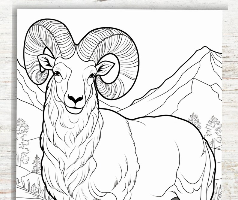 10 Ram Coloring Pages for Teens & Adults A4 Printable Animal - Etsy