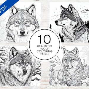 18+ Wolf Pack Coloring Pages