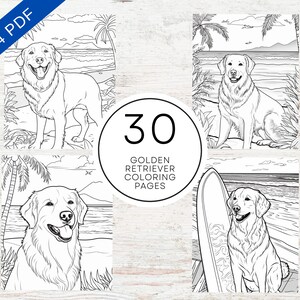 30 Summer Golden Retriever Coloring Pages | Printable PDF A4 | Adult and Teens Coloring Pages For Stress Relief & Relaxation