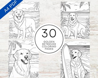 30 sommarmålarbilder med golden retrievers | Utskrivbar PDF A4 | Målarbilder för vuxna och tonåringar för stresslindring och avslappning