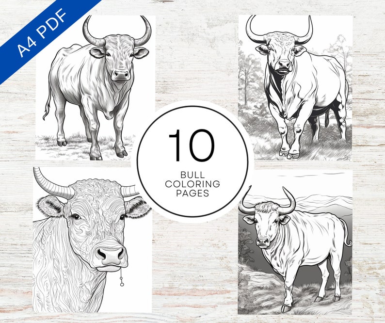 10 Bull Coloring Pages for Teens & Adults A4 Printable Animal Coloring