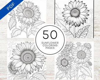 KDP Interior 50 Sunflower Coloring Pages For Adults | 8.5" x 11" Printable PDF + Canva Template | Commercial Use Floral Coloring Sheets