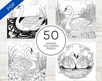 KDP Interior 50 Swans Coloring Pages | 8.5" x 11" PDF+Canva Template | Swan Coloring Book For Kids & Adults