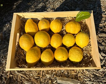 Organic Freshly Picked Natural Sicilian Lemons (no additives, wax, or pesticides)