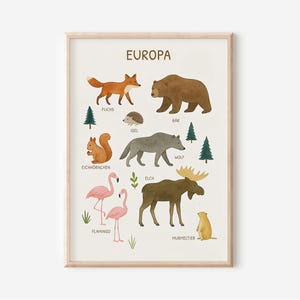 Poster Animali d'Europa per la cameretta dei bambini: poster educativi con animali europei, illustrati con cura | Animali della foresta | Decorazione naturale per bambini