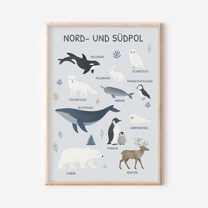 Poster del Polo Nord e del Polo Sud per bambini | Poster didattico con animali polari | Illustrazione di animali ad acquerello per la cameretta dei bambini