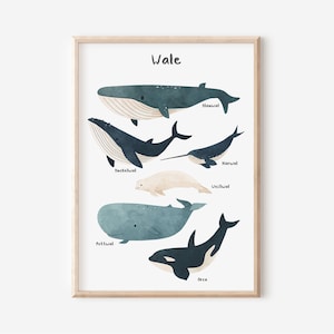 Carteles de ballenas en A2 A3 A4 | Carteles para la habitación de los niños | Imprimir | Regalo para niñas | Regalo para niño | Cartel del mar | Carteles de animales | Cartel de ballena marina