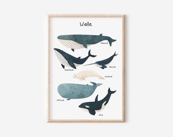 Poster Wale in A2 A3 A4 | Poster fürs Kinderzimmer | Print | Geschenk Mädchen | Geschenk Junge | Meer Plakat | Tierposter | Walposter Meer
