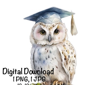 Graduation Owl Clipart Grad Student Owl PNG College Graduation Sublimination Graduation Cap Grad Magic Fantasy Owl Graduate Printable Print