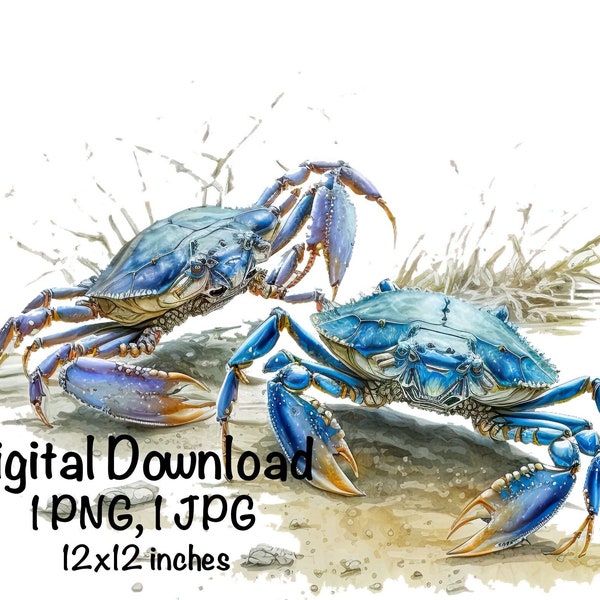 Blue Crabs Watercolor Crabbing Fishing Clipart Two Blue Crab PNG Commercial Use Ocean Crab Fishing Watercolor Illustration Fish Crab Print