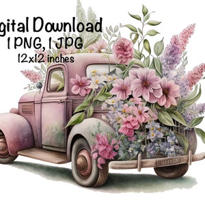 Rustic Pink Classic Old Car Spring Flowers Old 1930 Car Country Antique