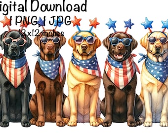 May include: Four Labrador Retrievers wearing red, white and blue bandanas and star-shaped headbands. The dogs are sitting in a row and looking at the camera.