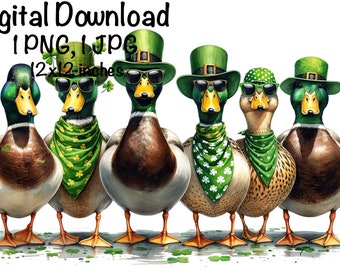 Dia de São Patrício Patos PNG, Pato Mallard Irlandês PNG, Sublimação de Caça do Dia de São Patrício PNG, Caça ao Pato Duende Engraçado png, Pato da Sorte