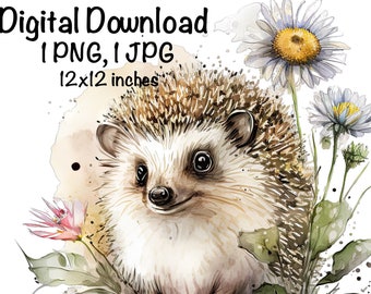 Hedgehog, Cute Hedgehog clipart, Forest Animals Hedgehog PNG, Hedgehog Daisy Flowers Sublimation Hedgehog Printable Hedgehog PNG Watercolor